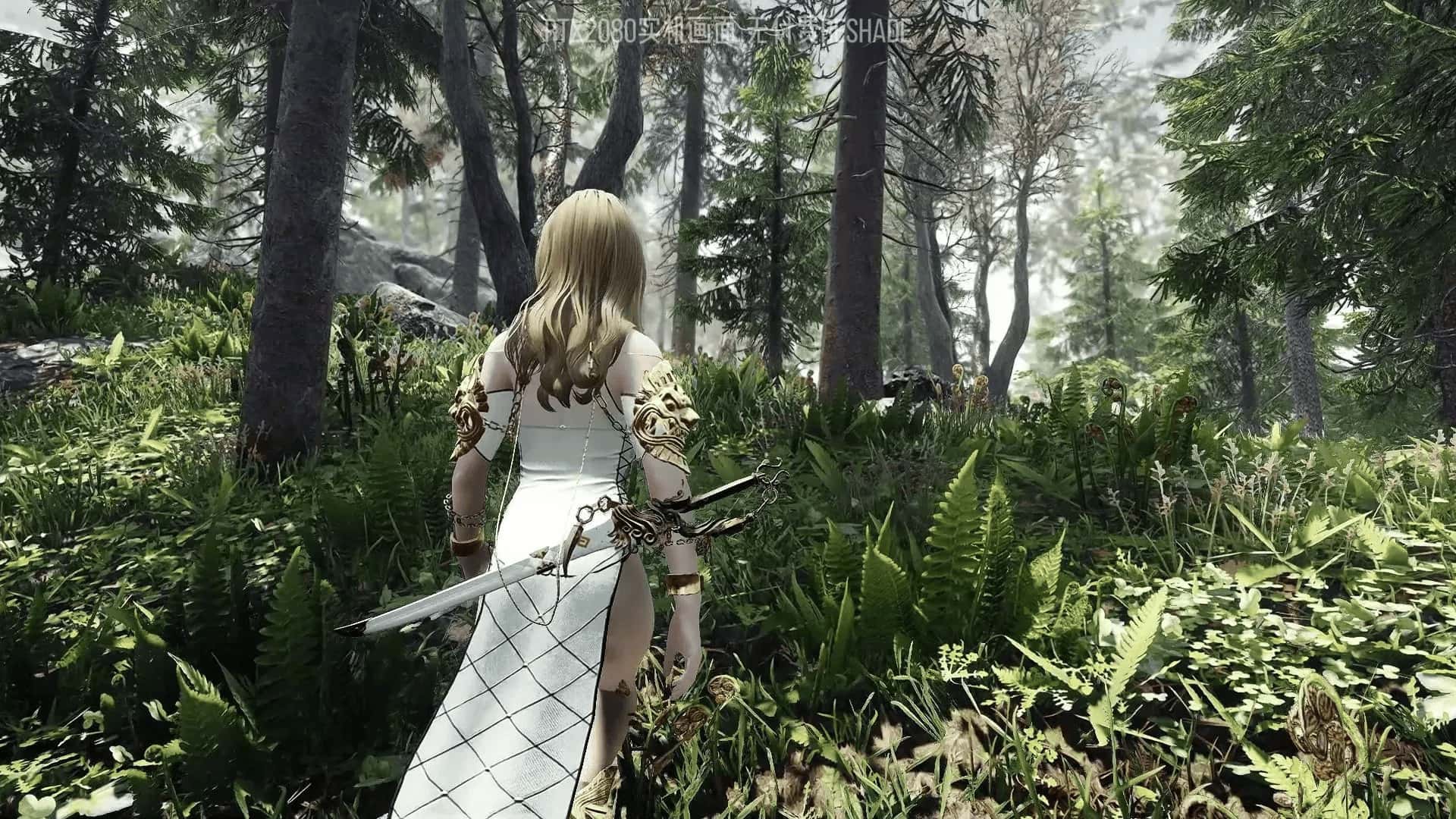 上古卷轴5 星黎SamuRai版 完整整合最新版插画